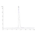 Mouse ALCAMCD166 Protein , ALC-MM101