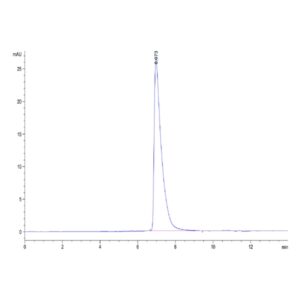 Mouse ALCAM/CD166 Protein , ALC-MM101 Ushelf