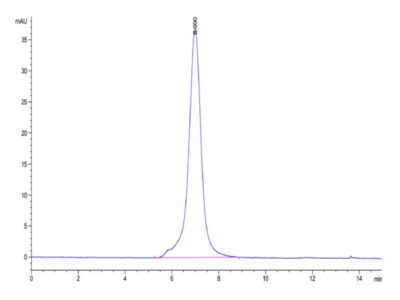 Mouse ALK Protein , ALK-MM201 Ushelf