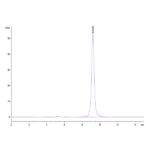 Mouse AMCaseCHIA Protein , AMC-MM101