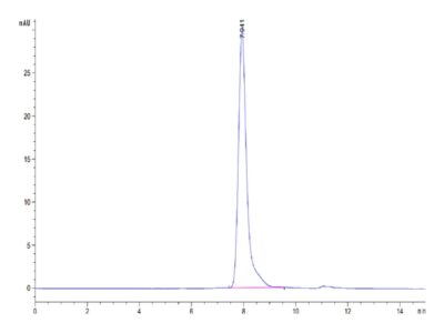 Mouse AMIGO2 Protein , AMI-MM102 Ushelf