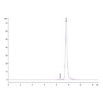 Mouse ANGPT2Angiopoietin-2 Protein , APN-MM101