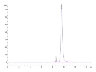 Mouse ANGPT2/Angiopoietin-2 Protein , APN-MM101 Ushelf