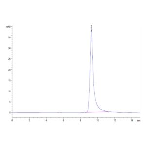 Mouse ANGPTL4/Angiopoietin-like 4 Protein , ANG-MM104 Ushelf