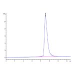 Mouse ANTXR2 Protein , ANT-MM1R2