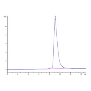 Mouse ANTXR2 Protein , ANT-MM1R2 Ushelf