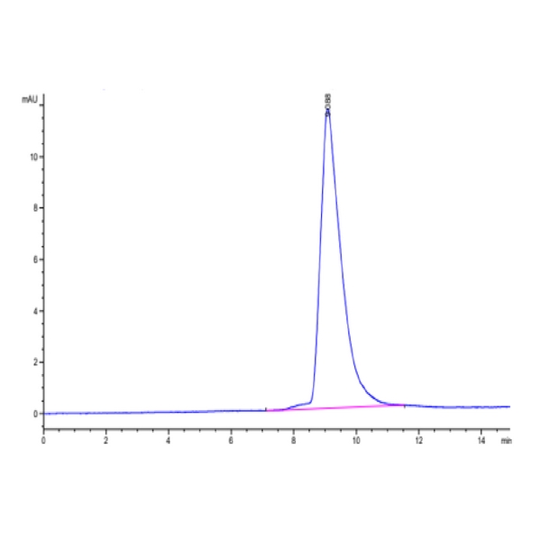 Mouse ANTXR2 Protein , ANT-MM1R2 Mouse ANTXR2 Protein , ANT-MM1R2 Ushelf