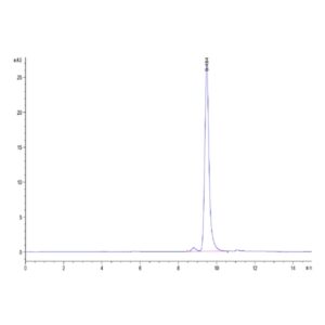 Mouse ANXA1 Protein , ANX-ME1A1 Ushelf