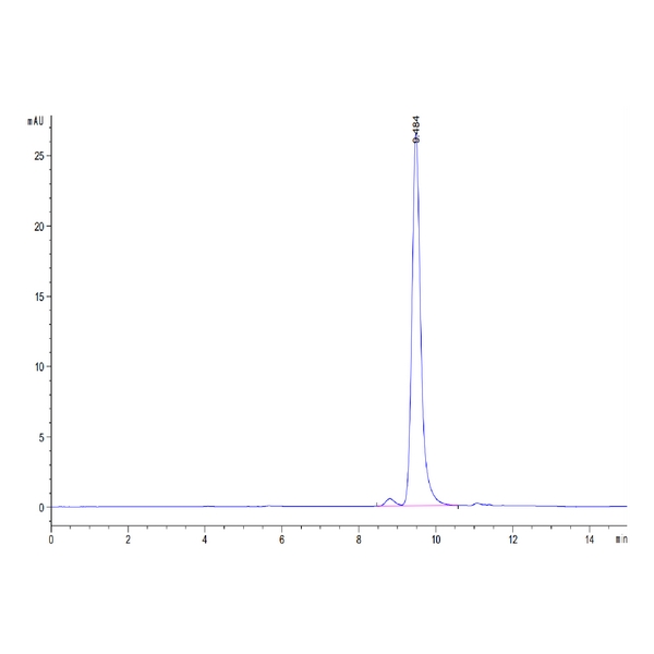 Mouse ANXA1 Protein , ANX-ME1A1 Ushelf