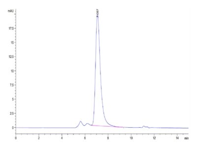 Mouse APOA1 Protein , APO-MM201 Ushelf