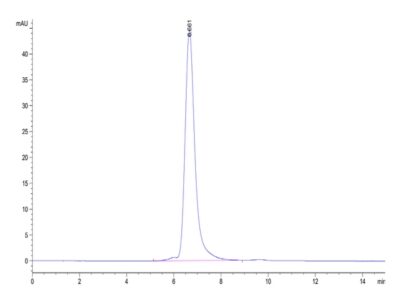 Mouse APOE/Apolipoprotein E Protein , APO-MM202 Ushelf