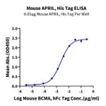 Mouse APRILTNFSF13 Protein , APR-MM113