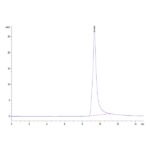 Mouse ASPH Protein , ASP-ME101