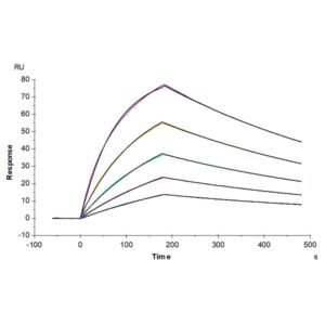 Mouse AXL Protein , AXL-MM101 Ushelf