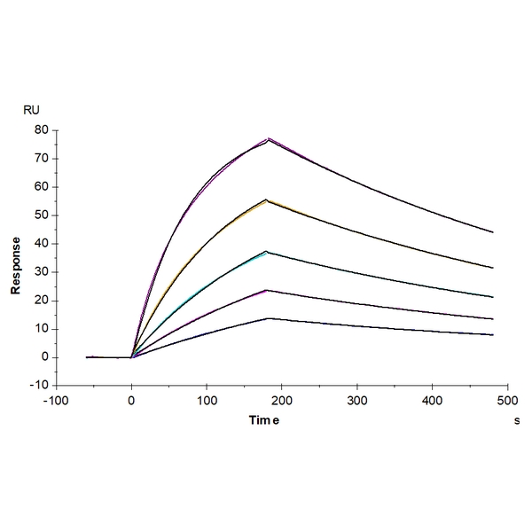 Mouse AXL Protein , AXL-MM101 Mouse AXL Protein , AXL-MM101 Ushelf