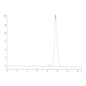 Mouse Activin RIIB/ACVR2B Protein , ARB-MM12B Ushelf