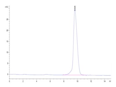 Mouse Activin RIIB/ACVR2B Protein , ARB-MM12B Ushelf