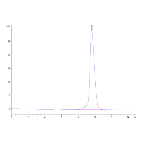 Mouse Activin RIIBACVR2B Protein , ARB-MM12B Mouse Activin RIIB/ACVR2B Protein , ARB-MM12B Ushelf
