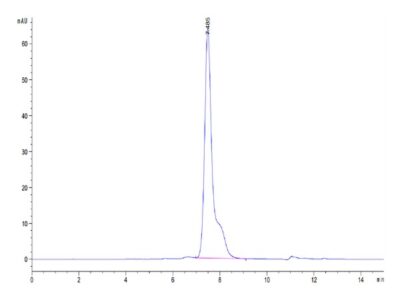 Mouse Adiponectin/Acrp30 Protein, ADI-MM101 Ushelf