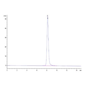 Mouse B7-1/CD80 Protein , B71-MM180 Ushelf