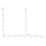 Mouse BACE-1 Protein , BAE-MM101