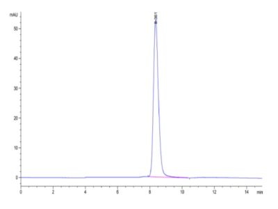 Mouse BACE-1 Protein , BAE-MM101 Ushelf