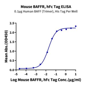 Mouse BAFFR/TNFRSF13C Protein , BAF-MM20R Ushelf