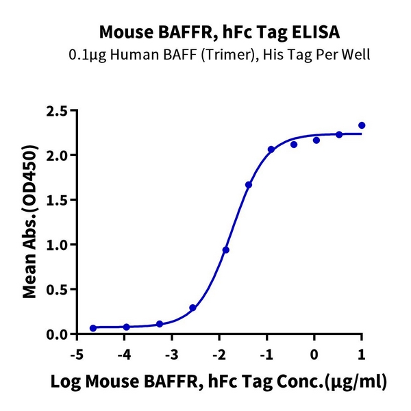 Mouse BAFFRTNFRSF13C Protein , BAF-MM20R Mouse BAFFR/TNFRSF13C Protein , BAF-MM20R Ushelf