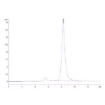 Mouse BAMBI Protein , BAM-MM201