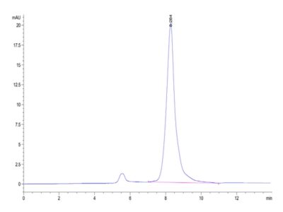 Mouse BAMBI Protein , BAM-MM201 Ushelf