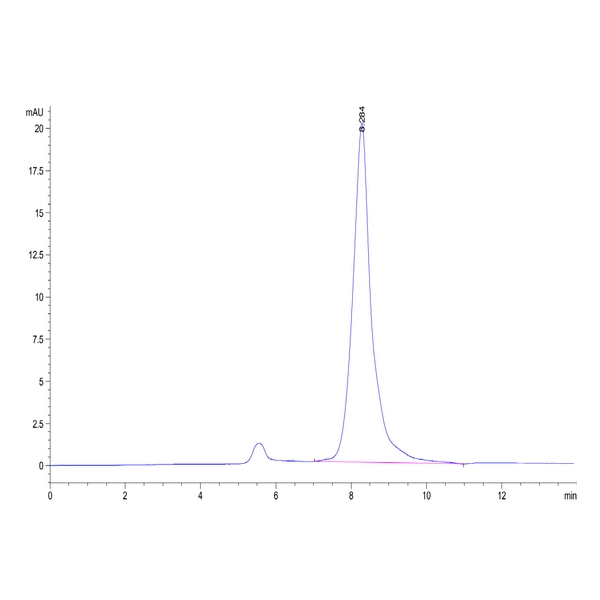 Mouse BAMBI Protein , BAM-MM201 Mouse BAMBI Protein , BAM-MM201 Ushelf