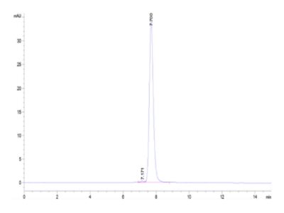 Mouse BCAM Protein , BCA-MM10M Ushelf