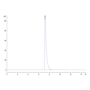 Mouse CD13/ANPEP Protein , ANP-MM101 Ushelf