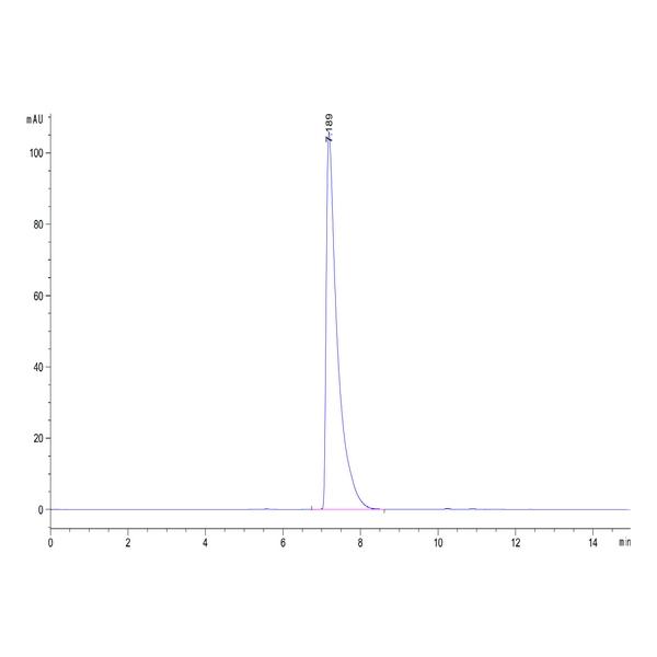 Mouse CD13ANPEP Protein , ANP-MM101 Mouse CD13/ANPEP Protein , ANP-MM101 Ushelf