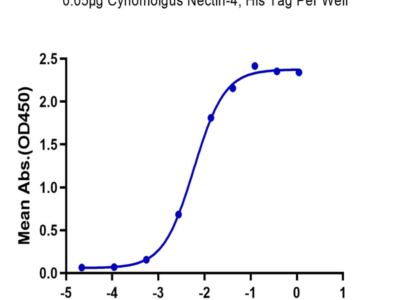 Cynomolgus Nectin-4 Protein (NEC-CM104)