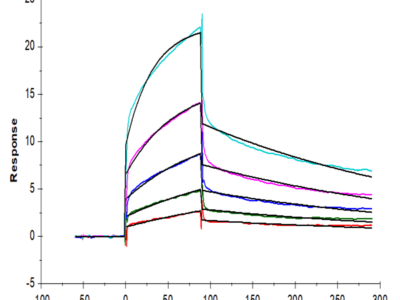Human Nectin-4 Protein (NEC-HM204)