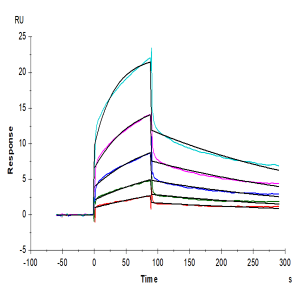 Human Nectin-4 Protein (NEC-HM204) Human Nectin-4 Protein (NEC-HM204)