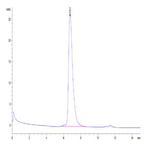 Biotinylated Human Nectin-1/PVRL1/CD111 Protein (NEC-HM401B)