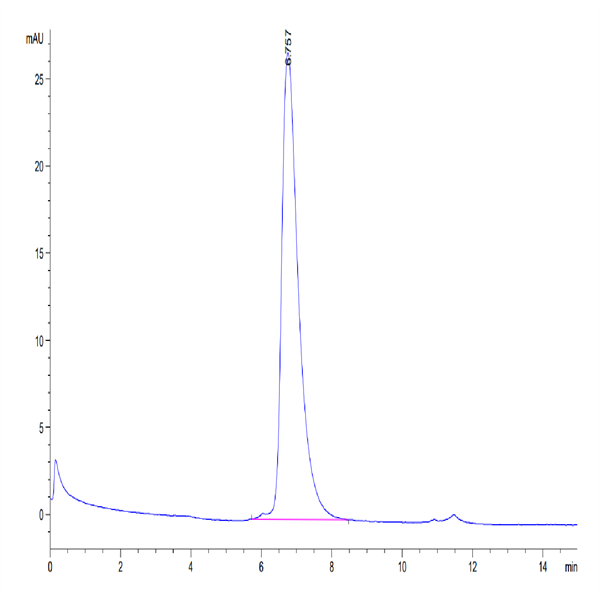 Biotinylated Human Nectin-1/PVRL1/CD111 Protein (NEC-HM401B)