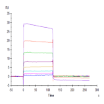 Human Nectin-2/CD112 Protein (NEC-HM402)