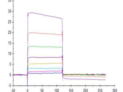 Human Nectin-2/CD112 Protein (NEC-HM402)