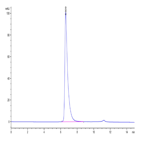 Human Nectin-2/CD112 Protein (NEC-HM402)