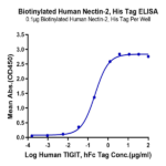 Biotinylated Human Nectin-2/CD112 Protein (NEC-HM402B)