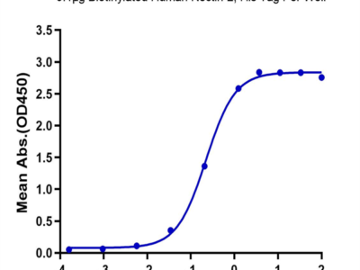 Biotinylated Human Nectin-2/CD112 Protein (NEC-HM402B)