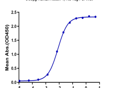 Human Nectin-4 Protein (NEC-HM404)