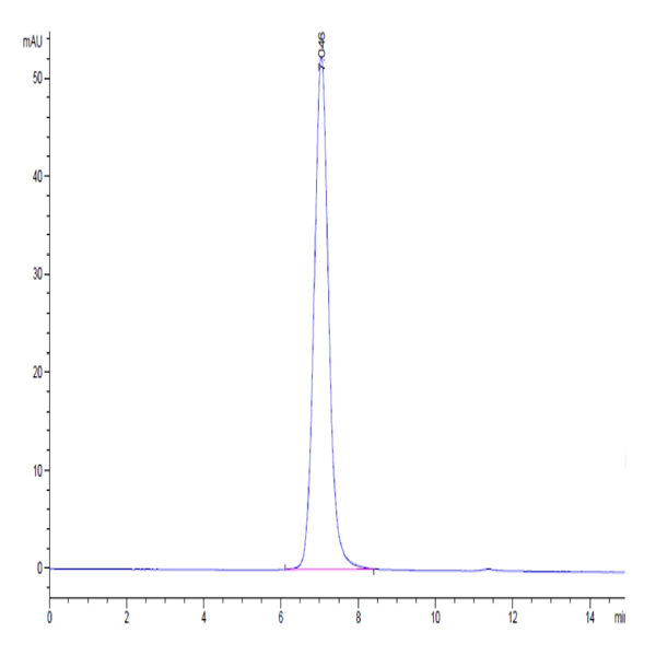 Human Nectin-4 Protein (NEC-HM404)