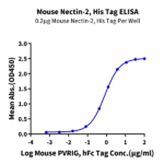 Mouse Nectin-2/CD112 Protein (NEC-MM102)