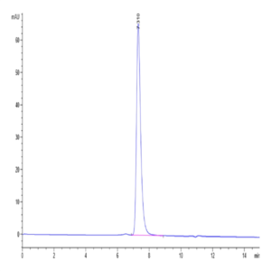 Mouse Nectin-4 Protein (NEC-MM104)