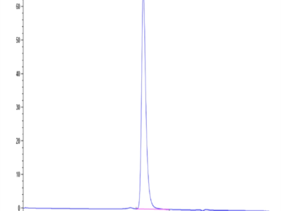 Mouse Nectin-4 Protein (NEC-MM104)