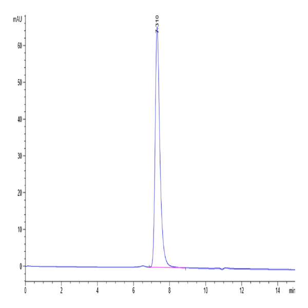 Mouse Nectin-4 Protein (NEC-MM104) Mouse Nectin-4 Protein (NEC-MM104)